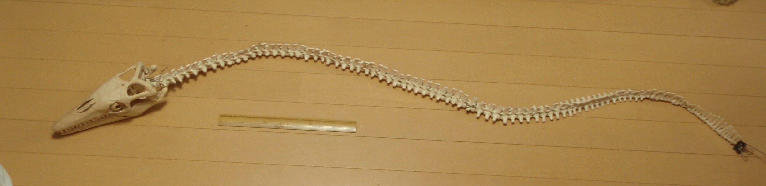 e0064457_014510.jpg
