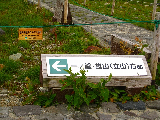f0156960_16551584.jpg