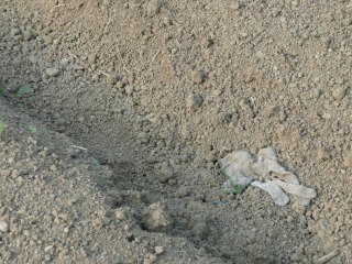 f0055264_20571766.jpg