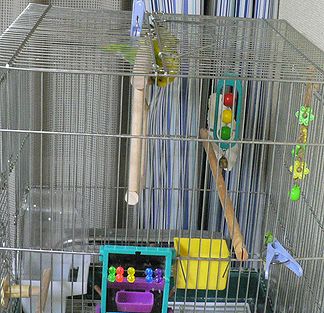 f0196665_0144230.jpg