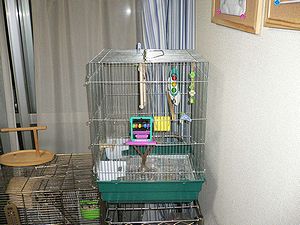 f0196665_025125.jpg