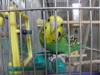 f0196665_23512547.jpg