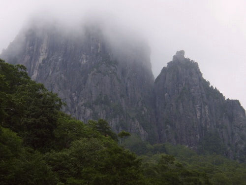 b0050067_143309.jpg