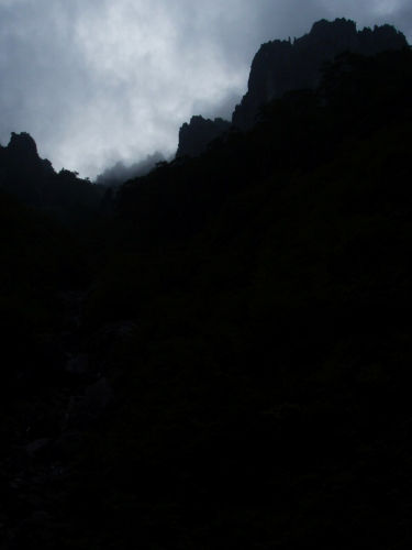 b0050067_1451642.jpg
