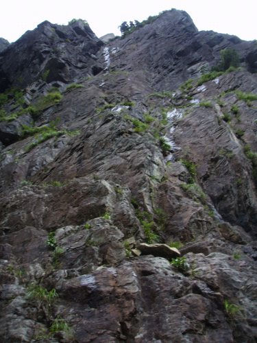 b0050067_1523938.jpg