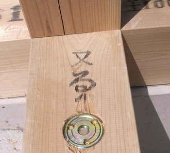 c0052470_1528795.jpg