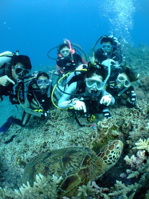 c0063673_181816.jpg