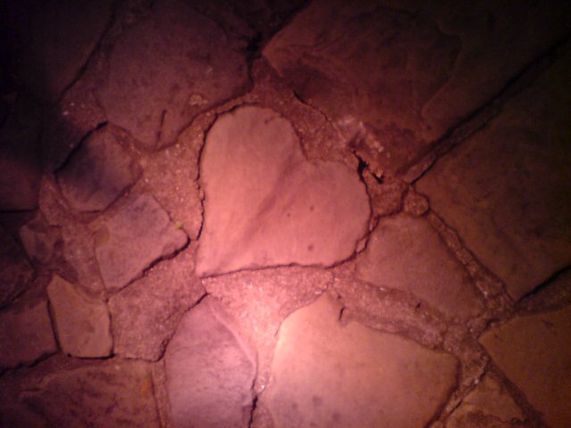 b0046478_2295194.jpg