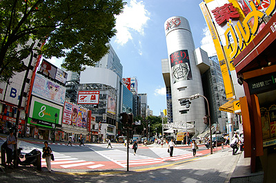 b0056983_155267.jpg