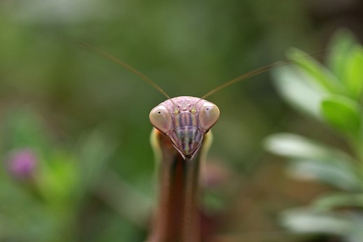 e0190885_20122989.jpg