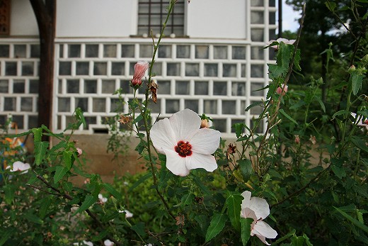 e0190885_2095532.jpg