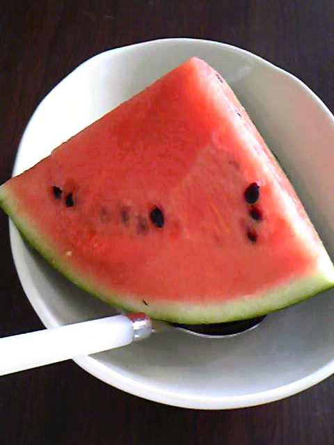 d0110991_382931.jpg