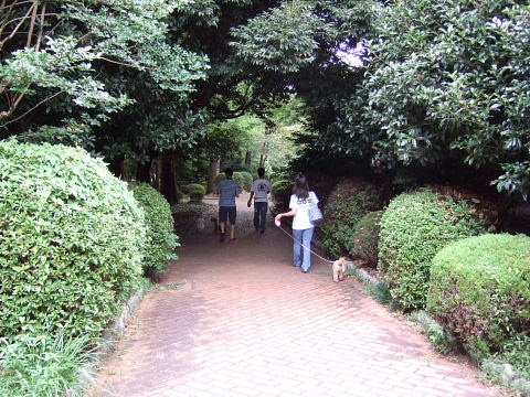 b0104592_221914.jpg