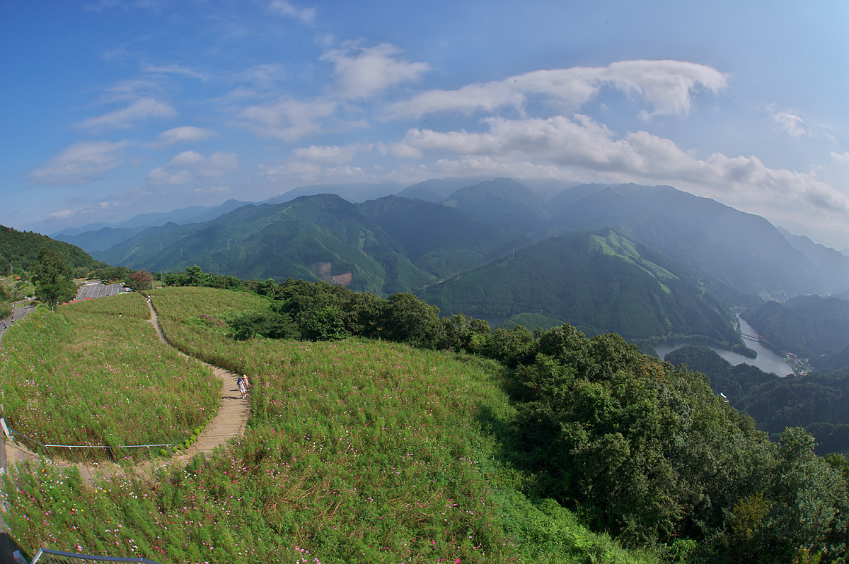 d0146295_22573127.jpg