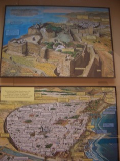 b0184396_22571490.jpg
