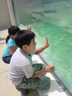 f0080598_1183636.jpg