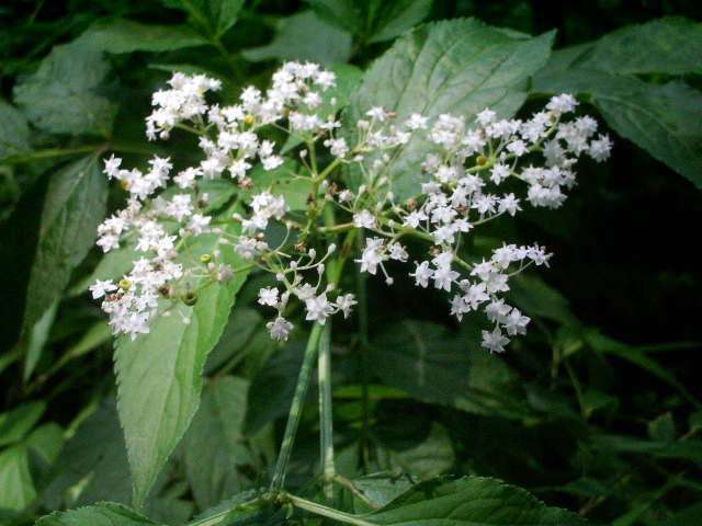 e0025300_1894775.jpg