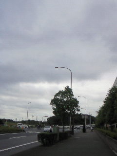 f0114900_1953734.jpg