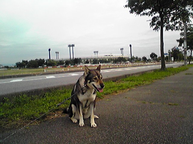 f0079202_16571650.jpg