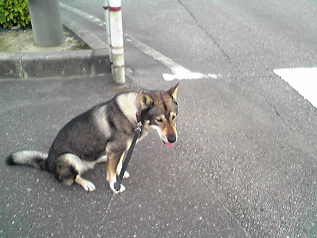 f0079202_16571659.jpg
