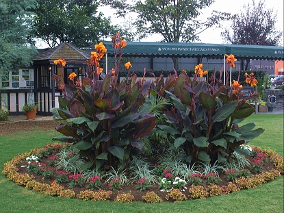 f0065604_222392.jpg