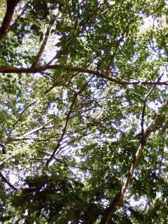 f0147604_1638037.jpg