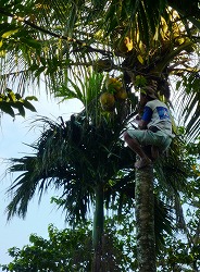 c0148705_20483516.jpg