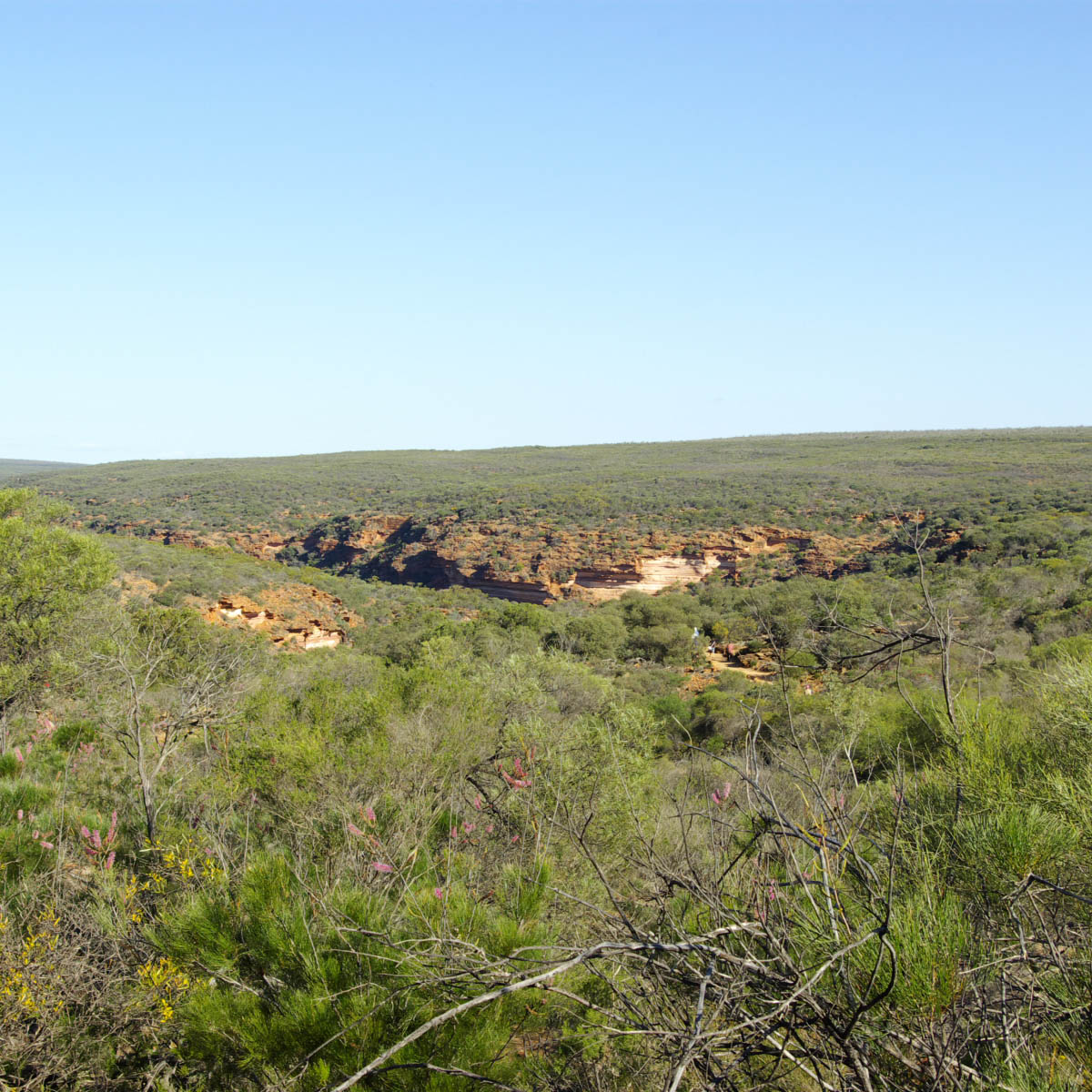 e0142611_22175673.jpg
