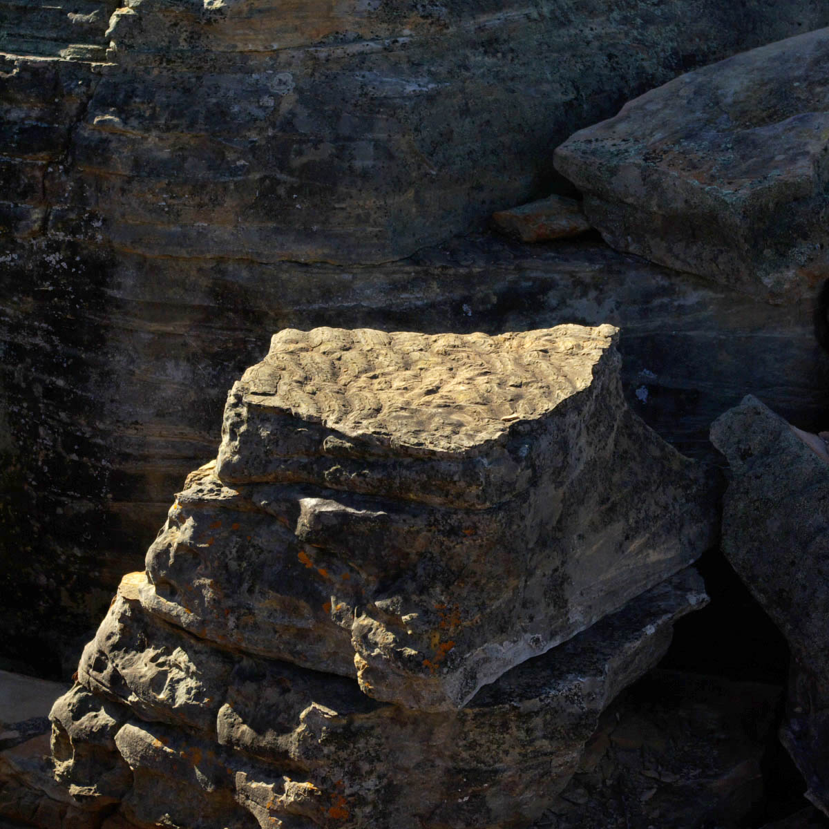 e0142611_2221240.jpg