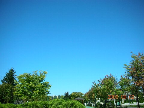 b0128821_9571284.jpg