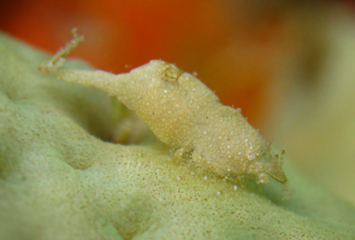 f0041021_1211648.jpg