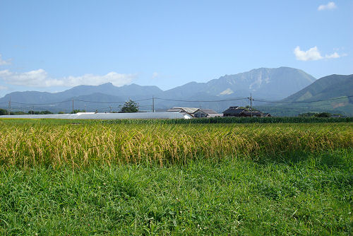 f0007926_18131367.jpg