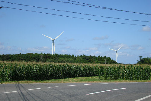 f0007926_1815991.jpg