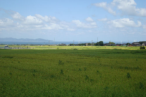 f0007926_182484.jpg