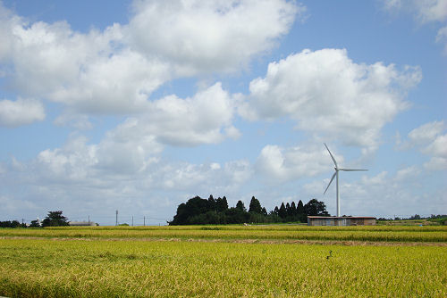 f0007926_1841172.jpg