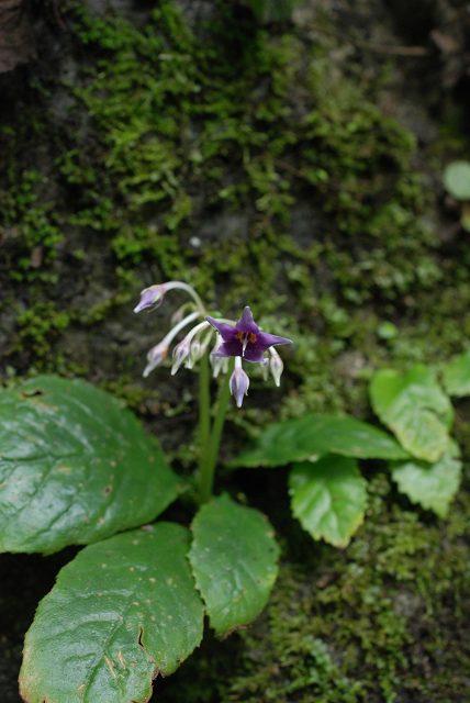 c0027027_039567.jpg