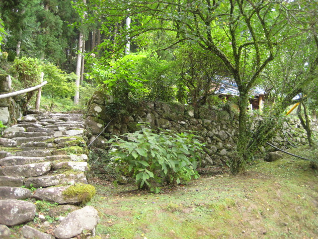 d0147727_19251090.jpg
