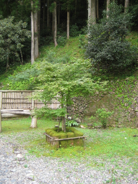 d0147727_19283218.jpg