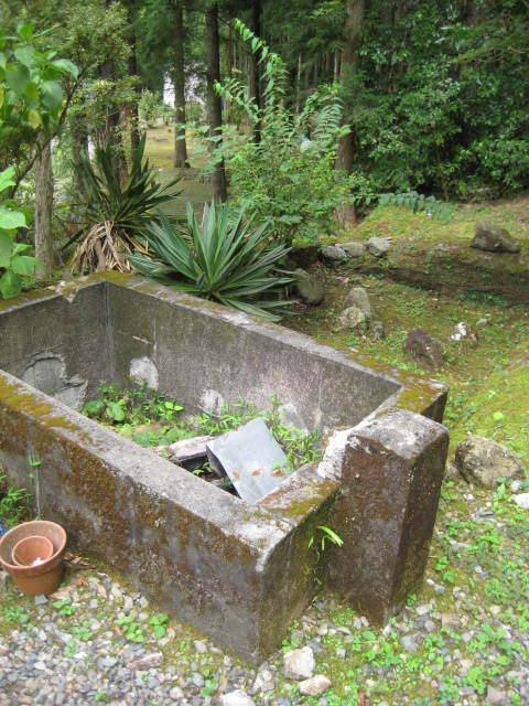 d0147727_1929062.jpg