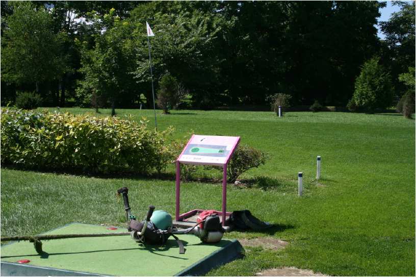 e0077528_17504178.jpg