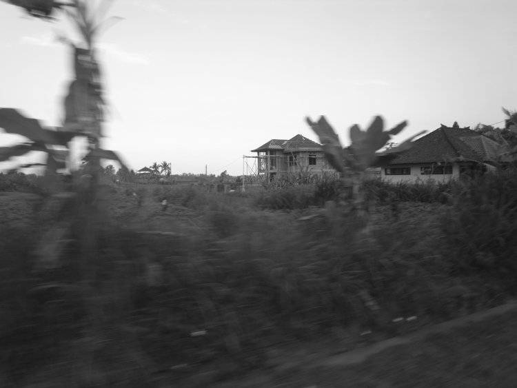 f0053529_22532018.jpg