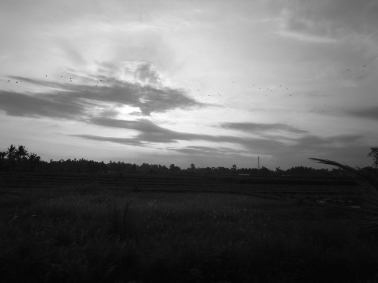 f0053529_22554561.jpg