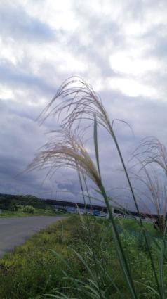 f0067630_23282590.jpg
