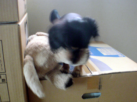 c0117831_20125776.jpg