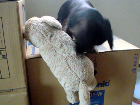 c0117831_20131395.jpg