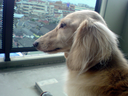 c0117831_2023848.jpg