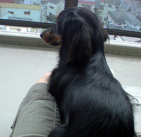 c0117831_202519.jpg