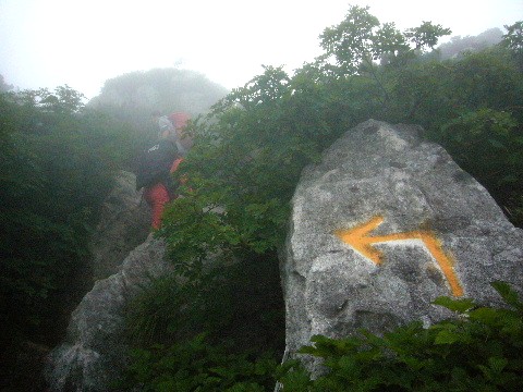 d0075131_23039.jpg