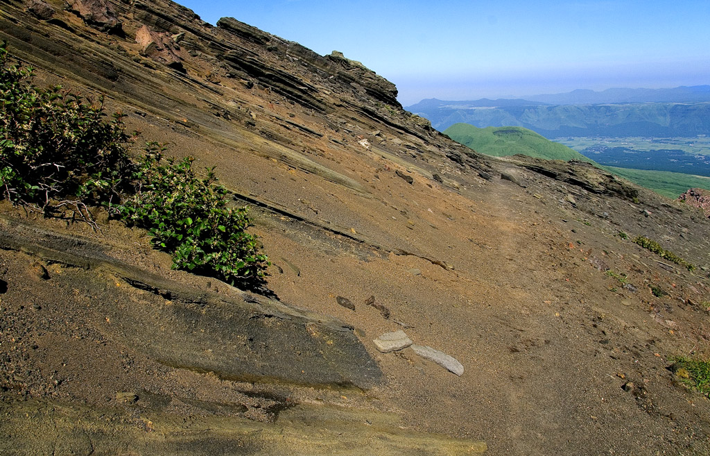 d0136836_10124523.jpg