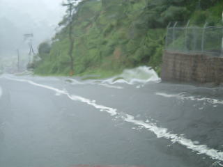 c0077338_22524179.jpg